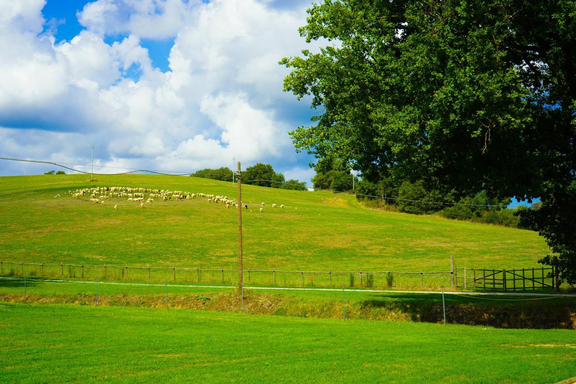 Alojamento de Turismo Rural Borgo Pallavicini Mori Roma