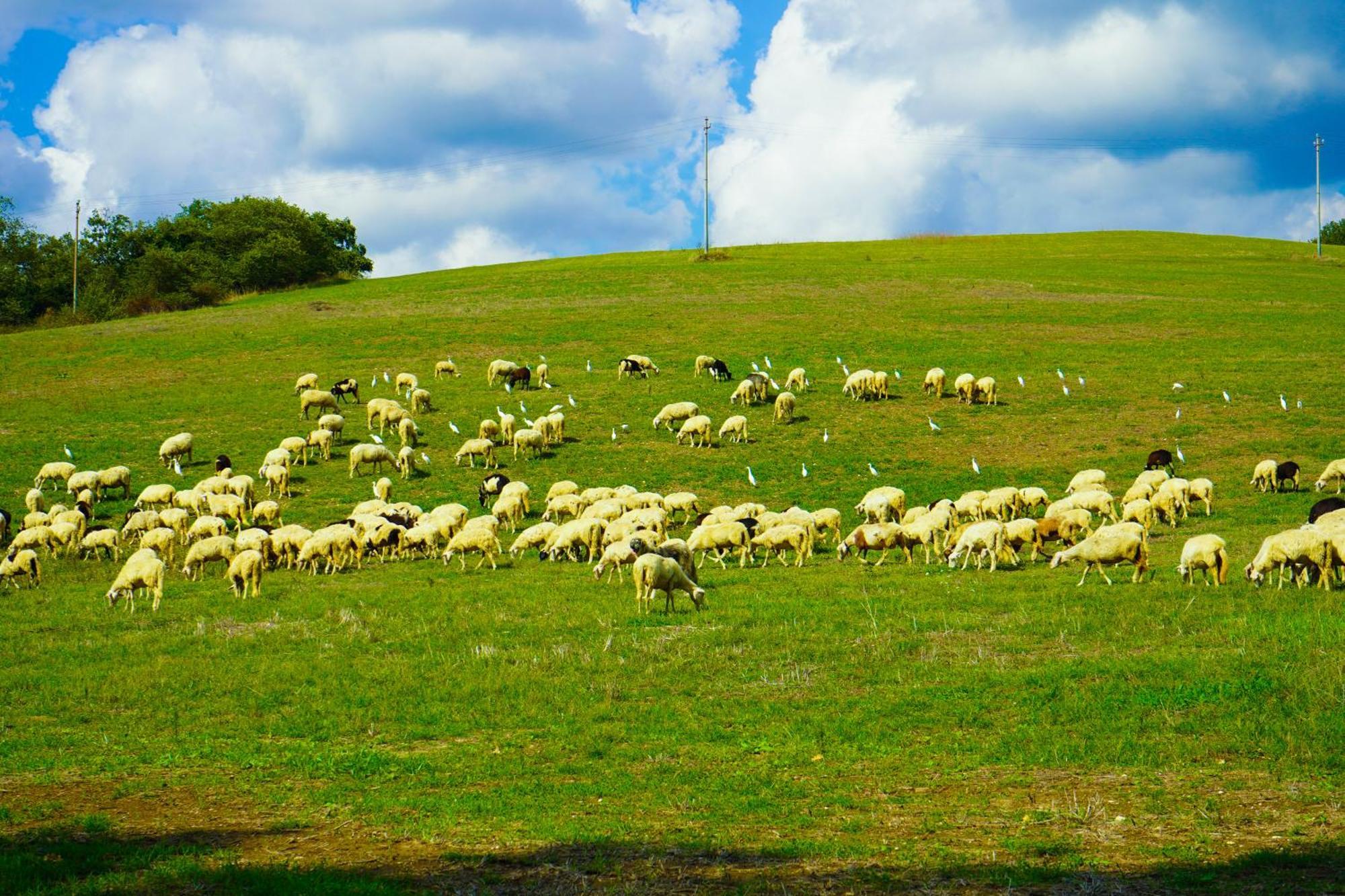Alojamento de Turismo Rural Borgo Pallavicini Mori